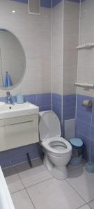 Vannituba majutusasutuses 1-комнатная квартира