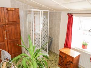 a bathroom with a shower and a plant at The White House in Roundstone