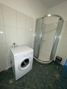 pralka w łazience z prysznicem w obiekcie Apartman Varea w mieście Ližnjan