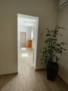 Zdjęcie z galerii obiektu Apartman Varea w mieście Ližnjan