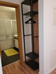 a bathroom with a black book shelf in a room at Exklusivwohnung Nempitz in Nempitz