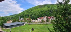 a town in front of a green mountain at AKY Residence in Slănic-Moldova +16 photos