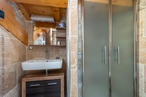 a bathroom with a sink and a shower at Chalet aux 3 biches in Mieussy