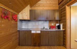 Kuchyň nebo kuchyňský kout v ubytování Holiday home in Kupa - Gorski Kotar 31182