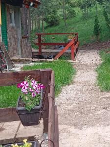 a flower pot with flowers in it next to a house at Planinska kuca Lunjo & Vuk in Zlatibor