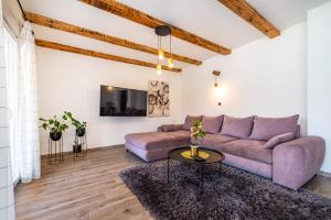 Televízia a/alebo spoločenská miestnosť v ubytovaní Apartman MISS Pridraga