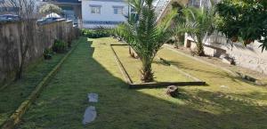 a garden with a palm tree in the grass at Moradia santa comba in Santa Comba Dão