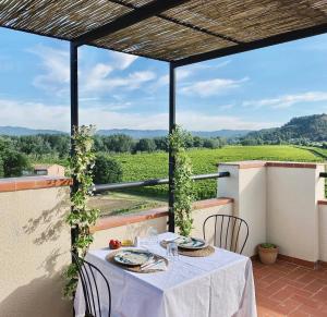 a table on a balcony with a view of a vineyard at Hotel Rural Mas de l'Illa in Tivissa