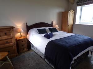 a bedroom with a bed with two pillows and a window at Detached barn with valley views near Cardigan in Cardigan
