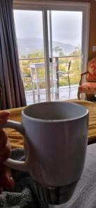 eine Person, die vor einem Fenster eine Kaffeetasse hält in der Unterkunft Viña Calabria in Valle de Guadalupe