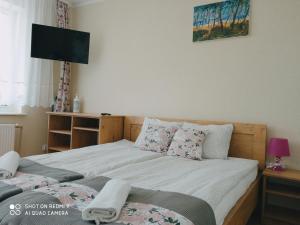 um quarto com duas camas e uma televisão na parede em Wakacje na Jodłowej Odargowo em Odargowo