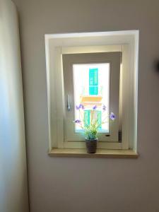 トラーニにあるLe Dimore di Federico - Traniの窓枠の鉢植え窓