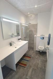 een witte badkamer met een wastafel en een toilet bij Hygge Loft in Varde