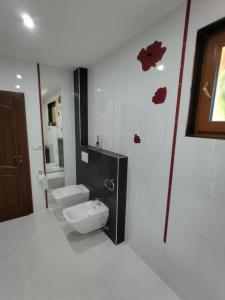 Ванна кімната в Pozlovice225