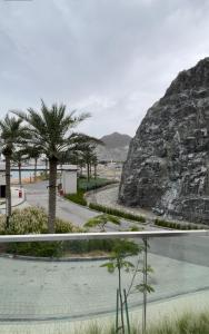 - une vue sur la plage et les palmiers depuis un bâtiment dans l'établissement Apartments with three bedrooms at address hotel, à Sharm