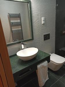 y baño con lavabo, aseo y espejo. en Fontanário House, en Alpiarça