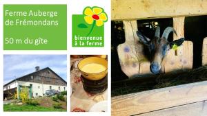 Fotografia z galérie ubytovania Maison chaleureuse à Vaucluse avec jardin spacieux 84 m² v destinácii Vaucluse