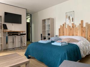 een slaapkamer met een bed en een tv aan de muur bij Le cocon sainte Catherine in Honfleur