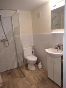 a bathroom with a toilet and a sink at Agrocamp in Pawłówka