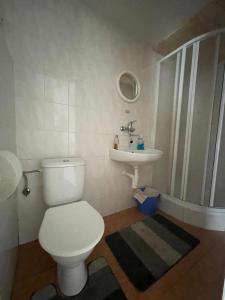 a bathroom with a toilet and a sink at Retro chatky Hůrka Lipno in Horní Planá +110 photos