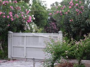 Photo de la galerie de l'établissement SPITAKI, à Pefkohori 6 autres photos