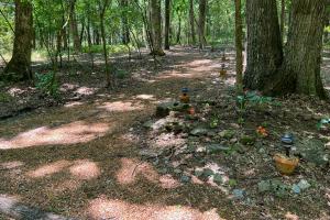 a path in the woods with plants and trees at Serene Cabin with Riverfront Views and Access! in Fayetteville