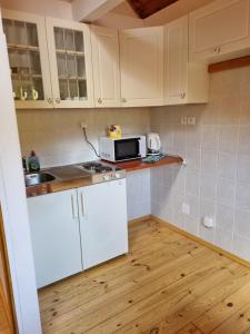 Kuchyň nebo kuchyňský kout v ubytování Hotel Karkonosze