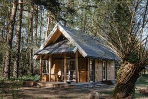 a cabin in the woods with a black roof at ALNUS KIEMAS in Kampiškiai