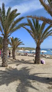 un gruppo di palme su una spiaggia sabbiosa di Apartment only 250m from the beach Los Locos a Torrevieja