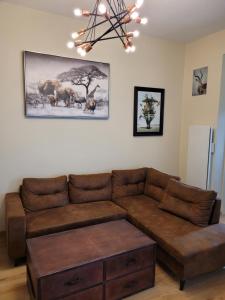 a living room with a brown couch and a picture of animals at Résidence Valissou in Châteauroux