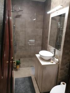 a bathroom with a sink and a toilet and a shower at Joy Apartman in Sovata