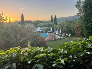 Bazén v ubytování Agriturismo Podere Marchiano nebo v jeho okolí