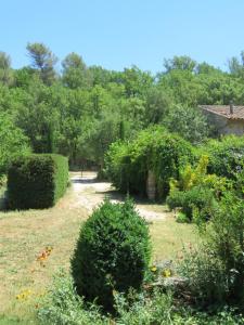 a garden with bushes and trees in the background at Gite un toit sur la Doa in Apt