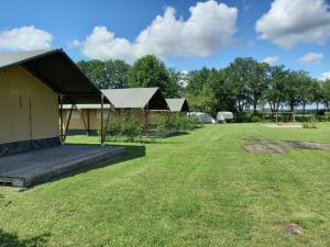 un terrain de camping avec une grande cour avec de l'herbe et des bâtiments dans l'établissement Comfort Safaritent Jungle - 6 personen, à Zwiggelte