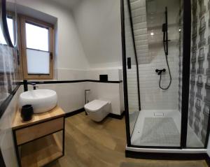 La salle de bains est pourvue d'une douche, d'un lavabo et de toilettes. dans l'établissement Willa Pod Reglami, à Zakopane