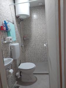 a bathroom with a toilet and a shower at Apartmani Petkovic 226 in Velika Drenova