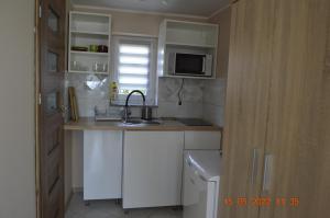 Kuchyň nebo kuchyňský kout v ubytování Apartamenty i pokoje u Kryni