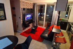 蒙特港的住宿－Hermoso departamento a minutos del centro，一间带电视和红色地毯的客厅