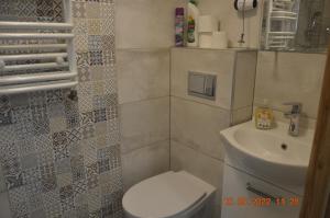 Koupelna v ubytování Apartamenty i pokoje u Kryni