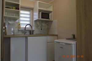 a small kitchen with a sink and a microwave at Apartamenty i pokoje u Kryni in Sztutowo