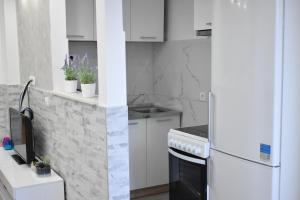 Kuchyň nebo kuchyňský kout v ubytování Apartman Maja