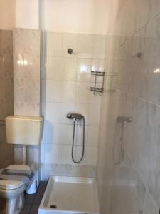 ein Bad mit einer Dusche, einem WC und einem Waschbecken in der Unterkunft Apartments Giotis in Paralia Katerinis
