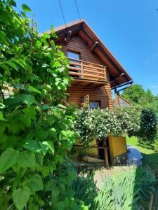 Vonkajšia záhrada v ubytovaní House Blanka,kuća za odmor