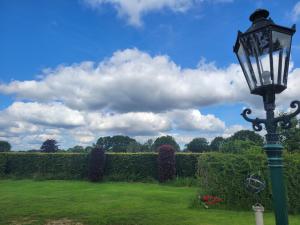 Zahrada ubytování Villa Teun
