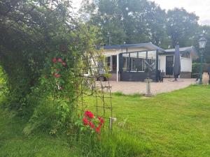 Zahrada ubytování Villa Teun
