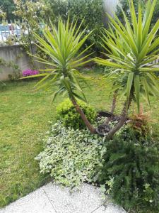 two palm trees in a garden next to a sidewalk at A&G Apartment in Zanica