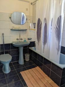 a bathroom with a sink and a shower curtain with feathers at Tulipan Haz in Szilvásvárad