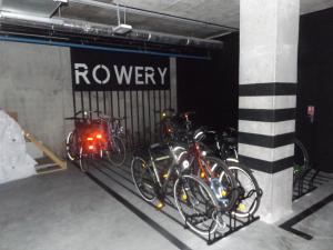 Jízda na kole v ubytování Apartament Rogowo nebo okolí + 13 fotografií