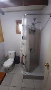 y baño blanco con aseo y ducha. en Cabaña Punto Punahue en Choshuenco