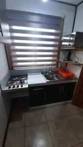 a small kitchen with a stove and a sink at Cabaña Punto Punahue in Choshuenco